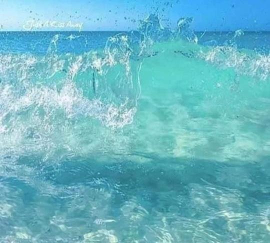 Dolphin Apt & Studios -Next To The Beach ロダ エクステリア 写真